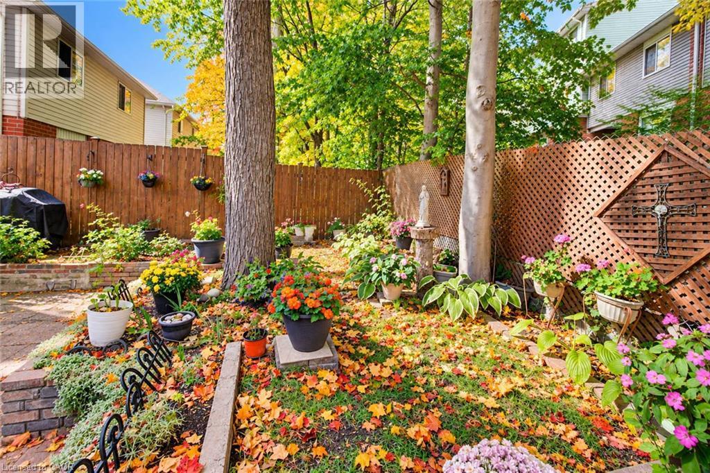 Fenced backyard featuring mature trees, a wooden privacy fence, and a decorative lattice panel - 327 Oprington Place, Kitchener, ON