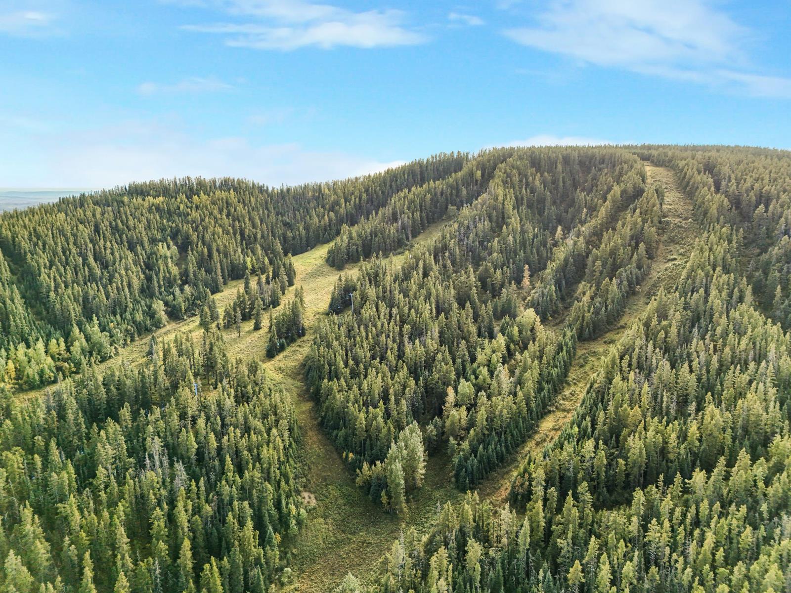Silver Summit Road, Edmonton, AB