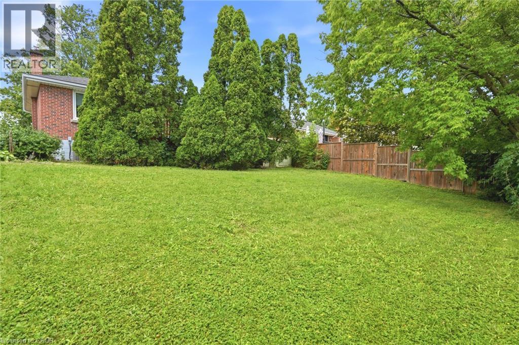 Expansive backyard featuring a level lawn, mature evergreen trees, and wood fencing - 241 East 44Th Street, Hamilton, ON
