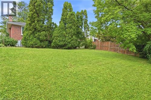 Expansive backyard featuring a level lawn, mature evergreen trees, and wood fencing - 241 East 44Th Street, Hamilton, ON 