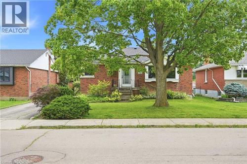 Brick exterior facade featuring a concrete front entryway, large mature shade tree, and landscaped front lawn - 241 East 44Th Street, Hamilton, ON 