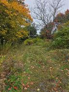 19 Carlisle RD  Fredericton, NB E3A 7M3