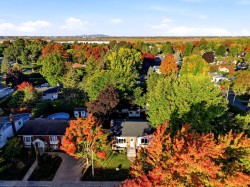 Aerial View -