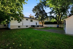 Courtyard -