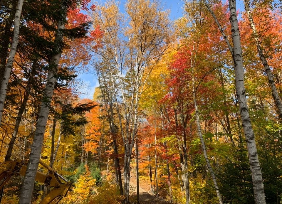 Lot - 9E Rang, Saint-Côme, QC