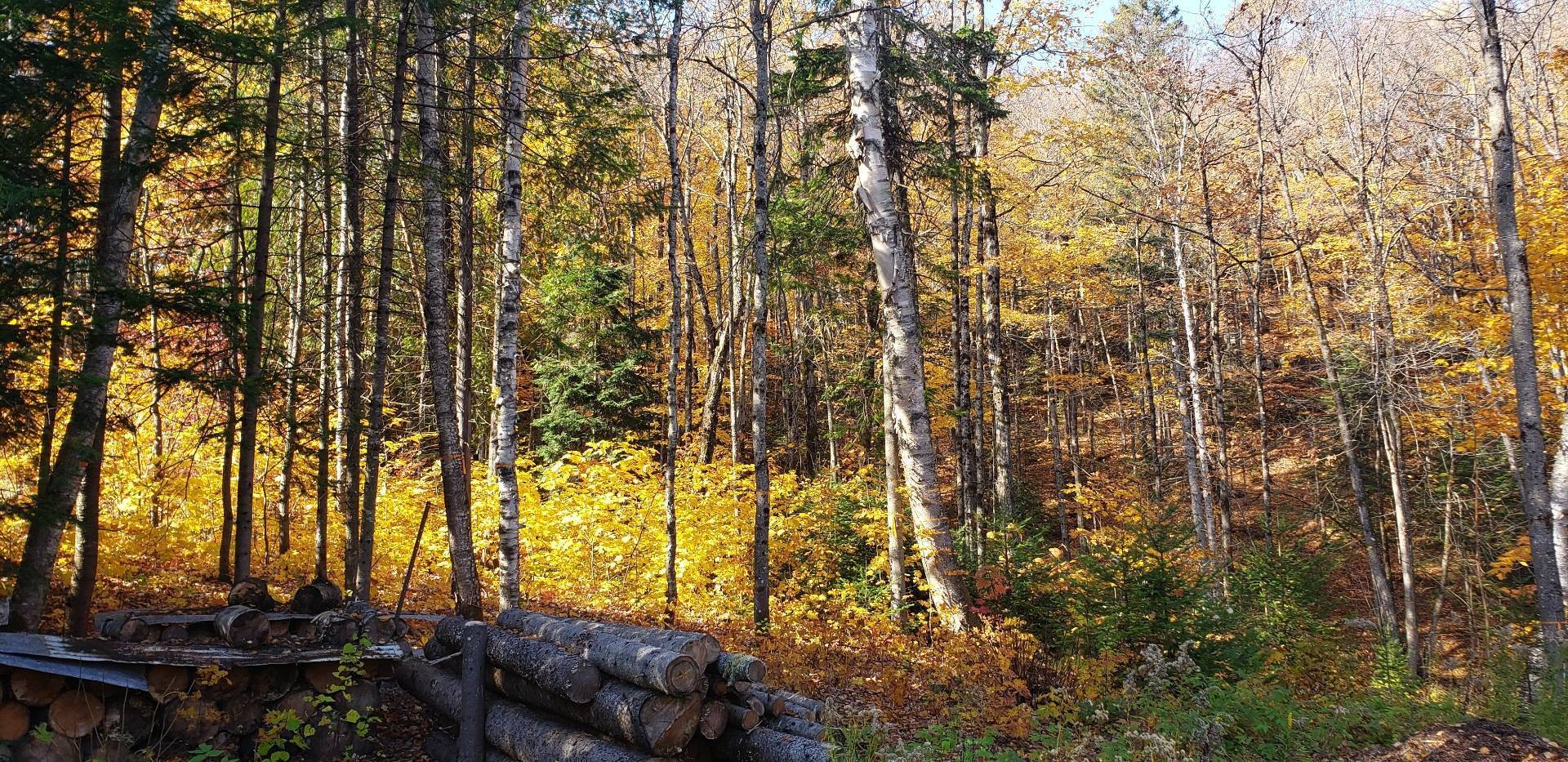 Lot - 9E Rang, Saint-Côme, QC