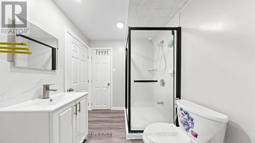 342 King William Street, Hamilton, ON 