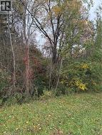 PT LOT 27 CEDAR CREEK Concession  North Dumfries, ON N1R 5S3