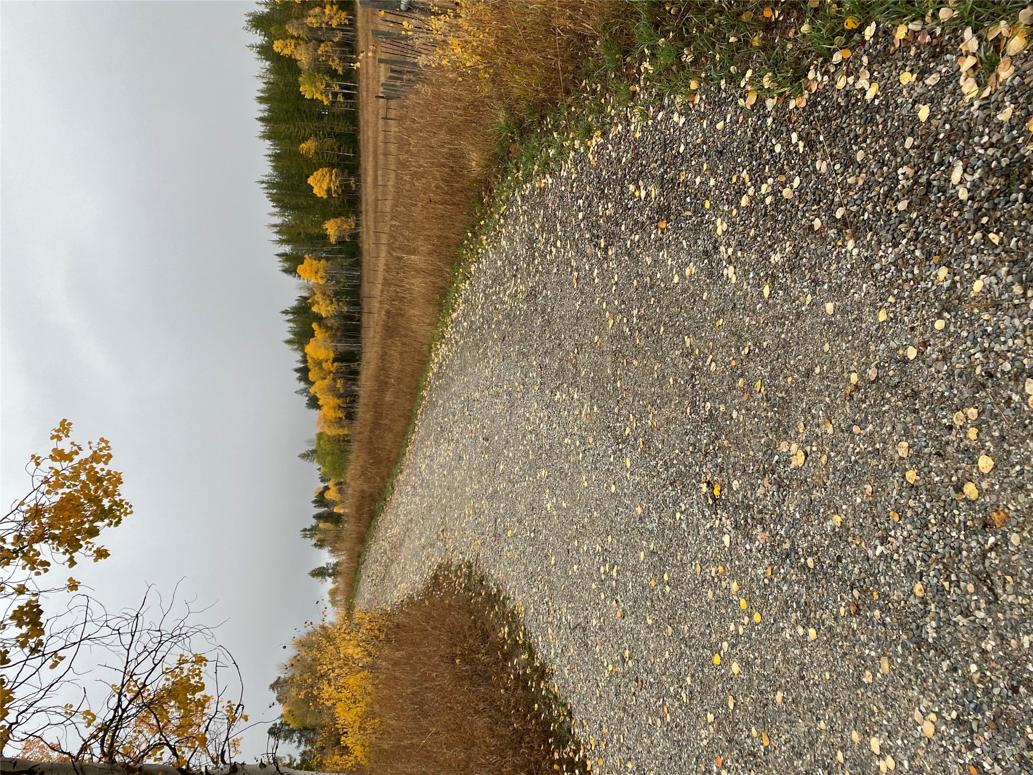 Lot 1 Meadowbrook Branch Road, Kimberley, BC