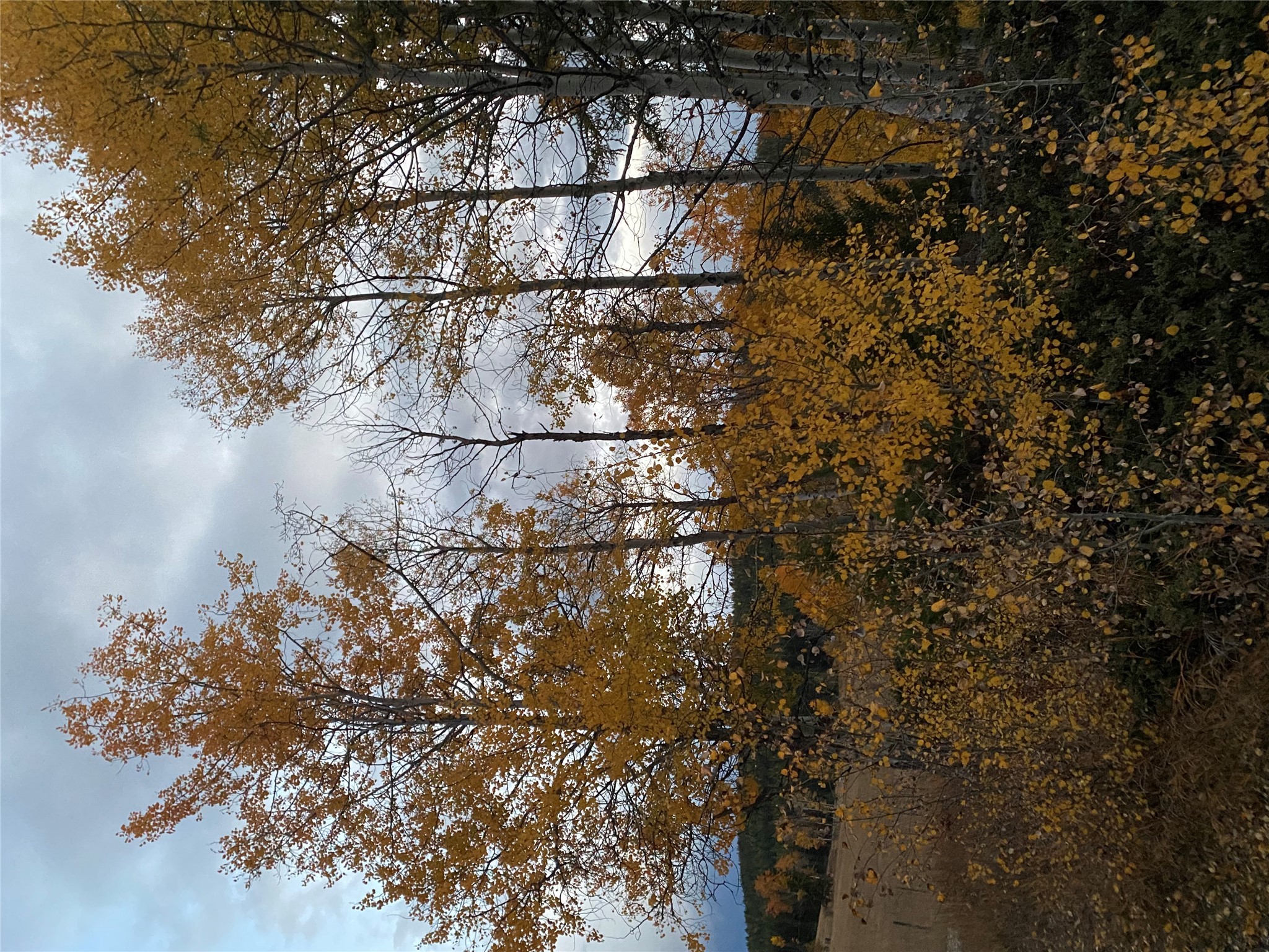 Lot 1 Meadowbrook Branch Road, Kimberley, BC