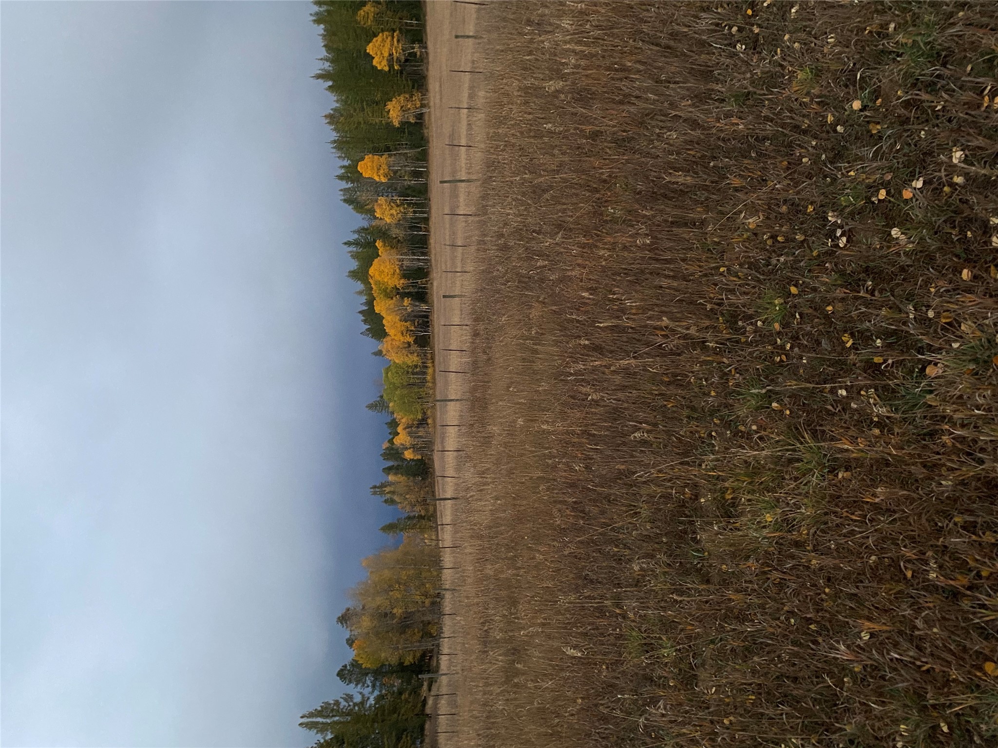 Lot 1 Meadowbrook Branch Road, Kimberley, BC