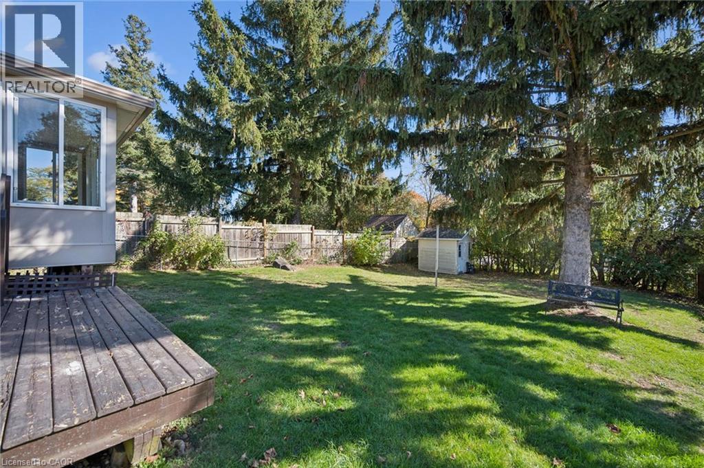 Private backyard featuring a wood deck, expansive lawn area, mature evergreen trees, and perimeter wood fencing - 11 Caledon Court, Cambridge, ON