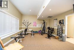 Work out Equipment - 