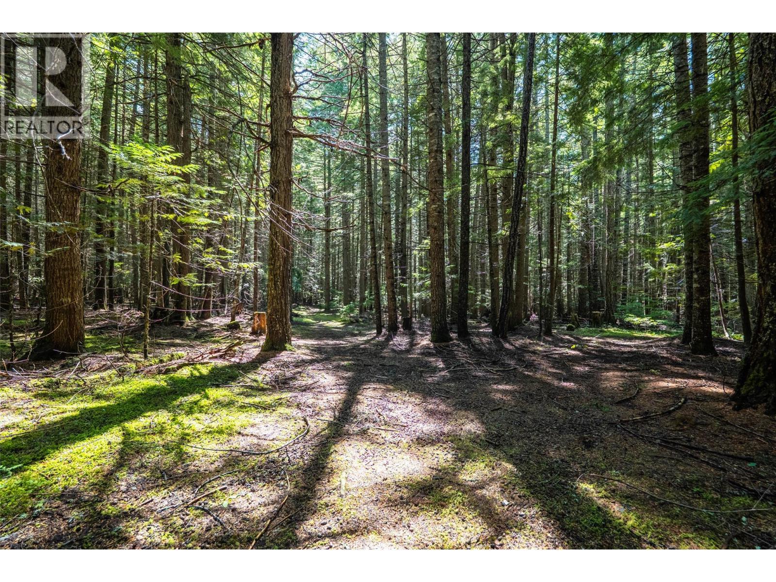 541 Bear Road, Salmo, BC - Outdoor With View