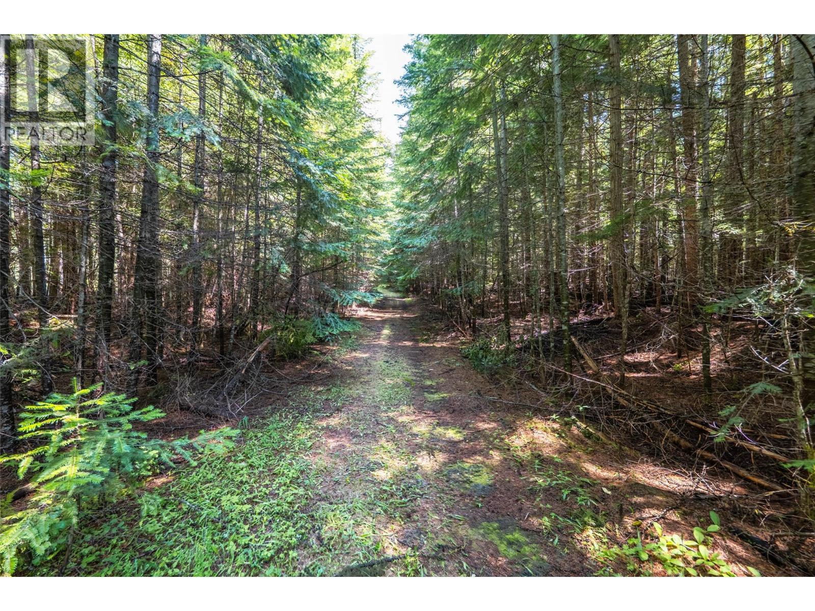 541 Bear Road, Salmo, BC - Outdoor With View