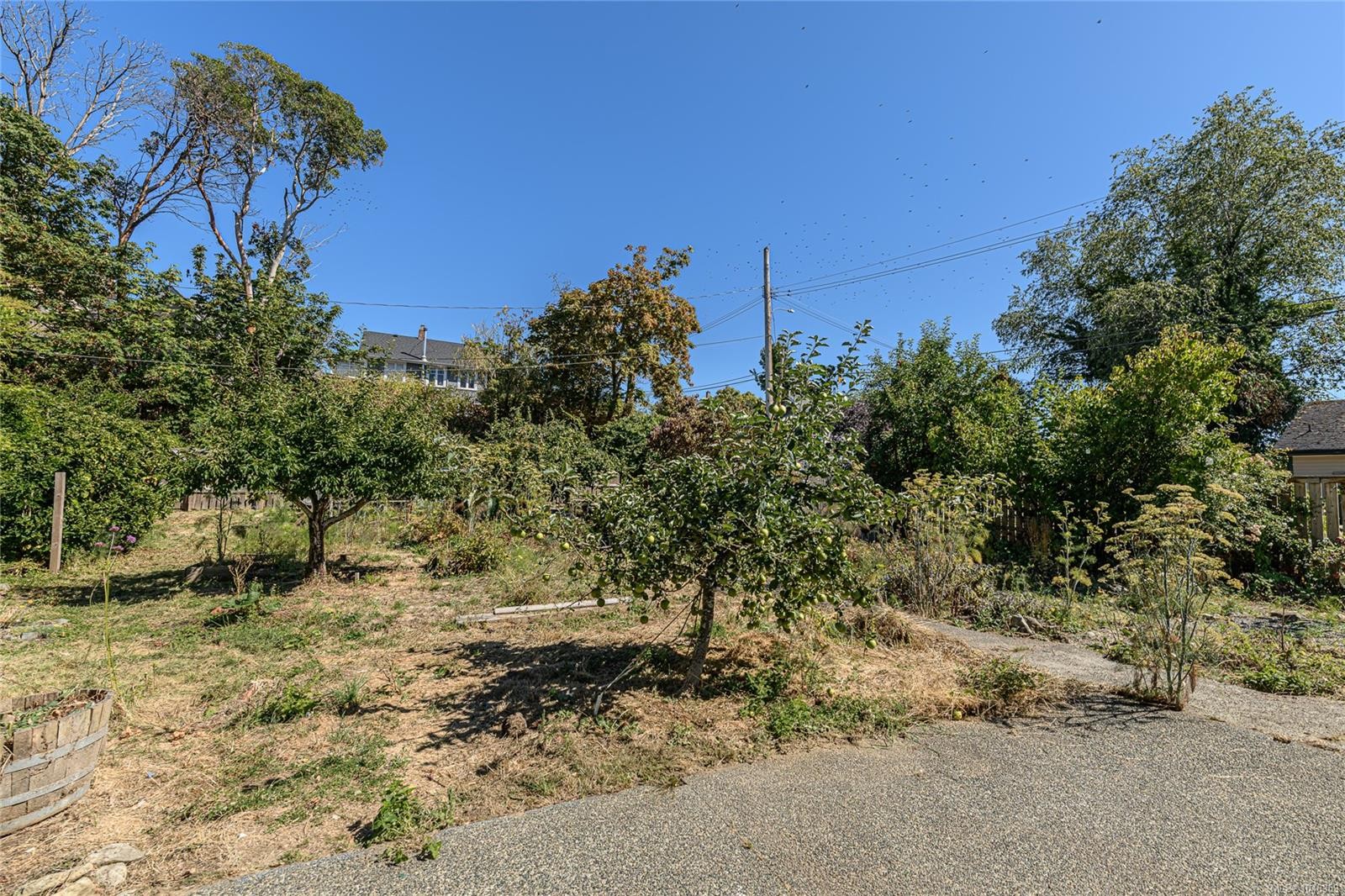 9899 Maple St, Chemainus, BC