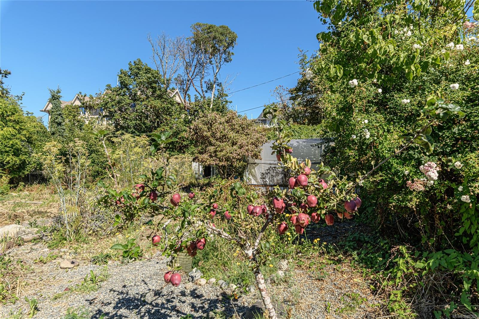 9899 Maple St, Chemainus, BC