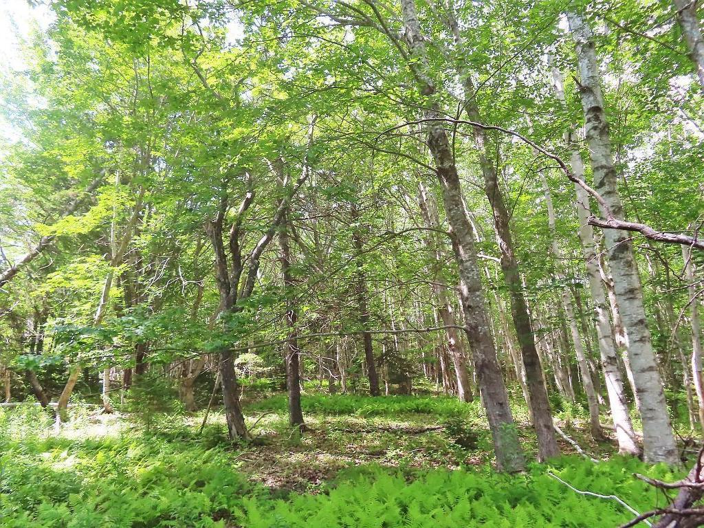 5875 West Bay Road, Roberta, NS - Outdoor