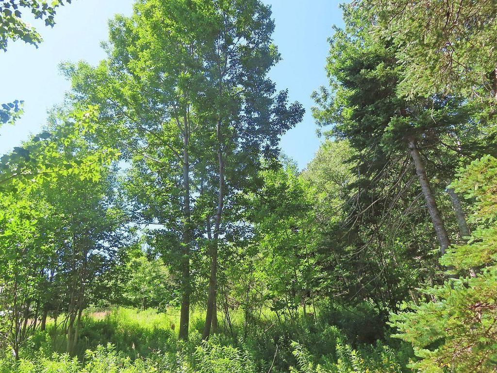 5875 West Bay Road, Roberta, NS - Outdoor