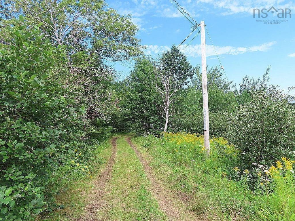 5875 West Bay Road, Roberta, NS - Outdoor With View