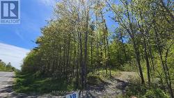 N/A COUNTY ROAD 30 Trent Hills, ON K0L 1L0