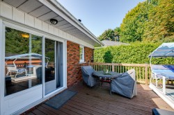 Patio - 