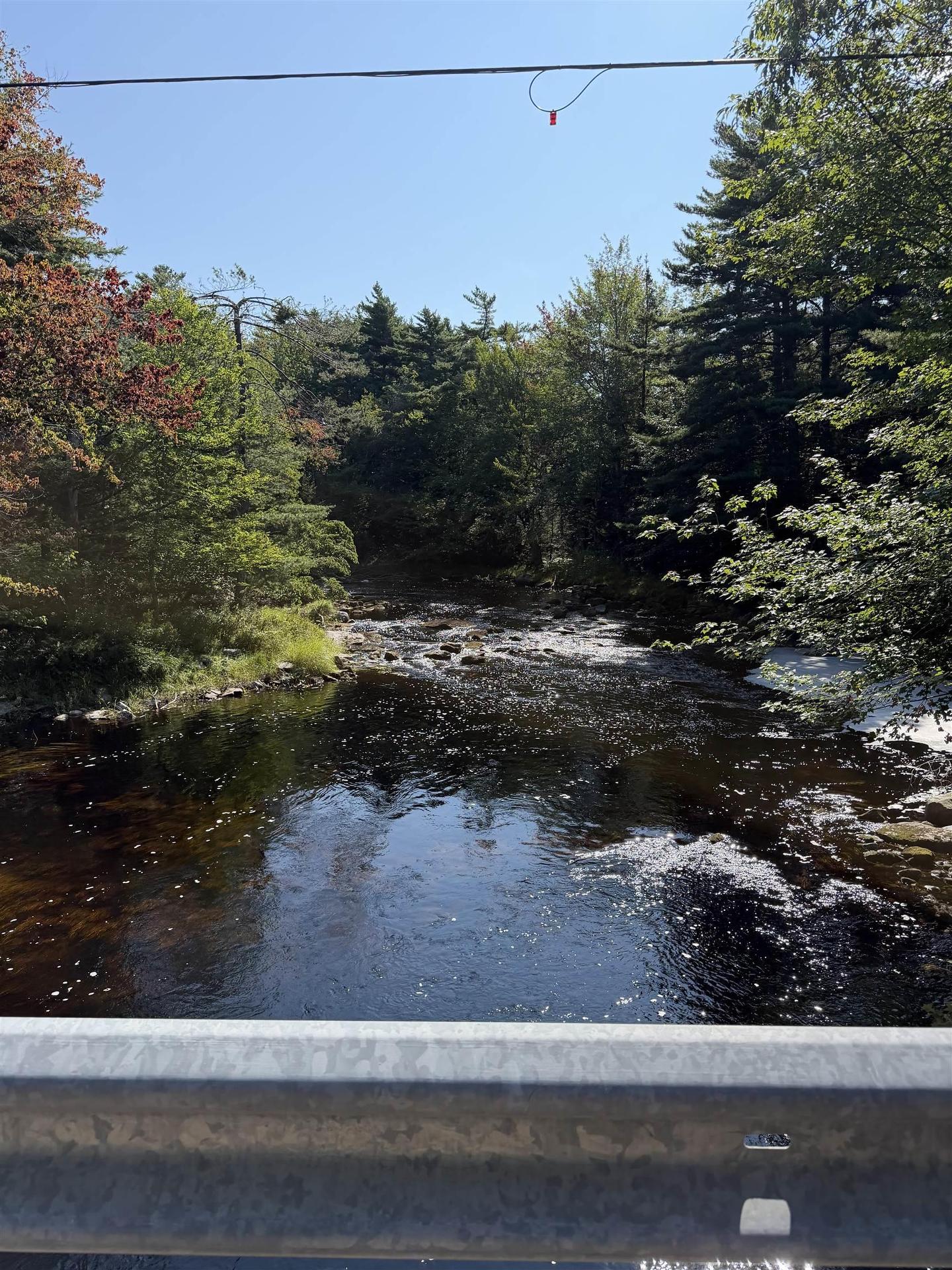 148 Brier Hill Road, Upper Clyde River, NS - Outdoor With View