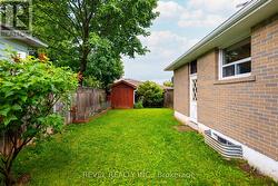Back Yard - 