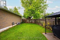Back yard - 