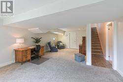 Lower level family room - 