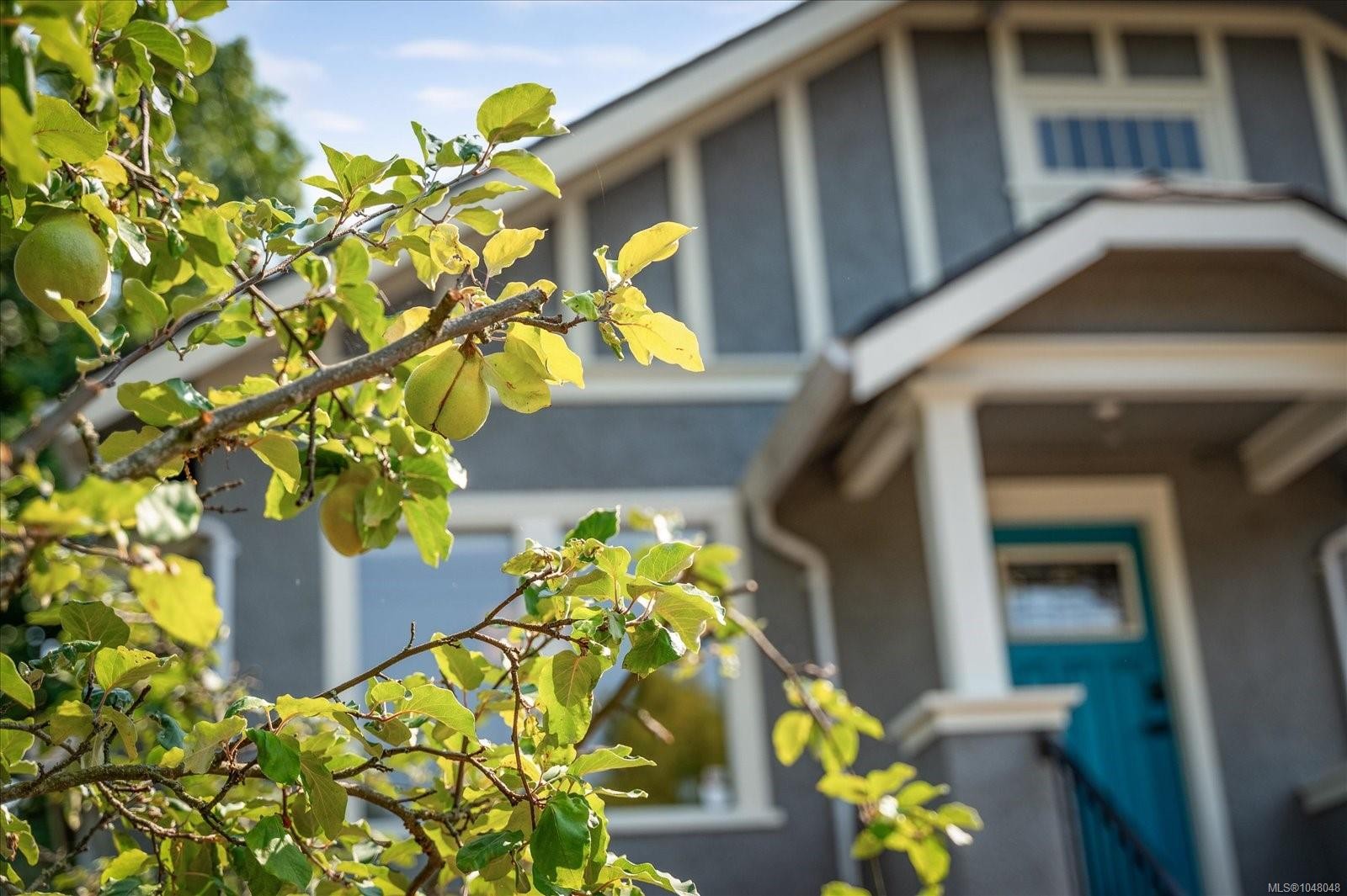 733 Fitzwilliam St, Nanaimo, BC