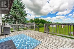 Large backyard deck - 