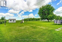Massive backyard with shed - 