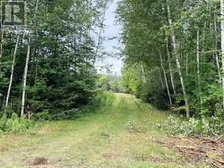 3 River DR Blind River, ON P0R 1B0