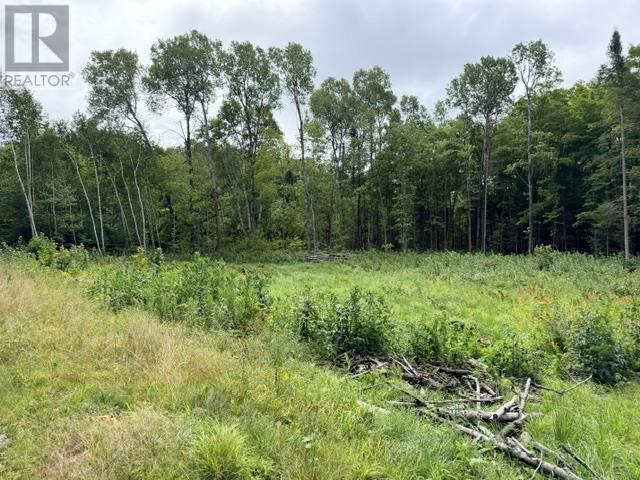 3 River Dr, Blind River, ON