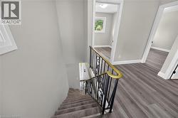 Staircase featuring carpeted treads and an ornate metal railing with a brass-finish handrail - 