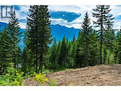 Lot 31 COUGAR Drive Golden, BC V0A 1H2