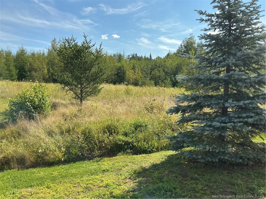 125 Monarch Rd, Riverview, NB