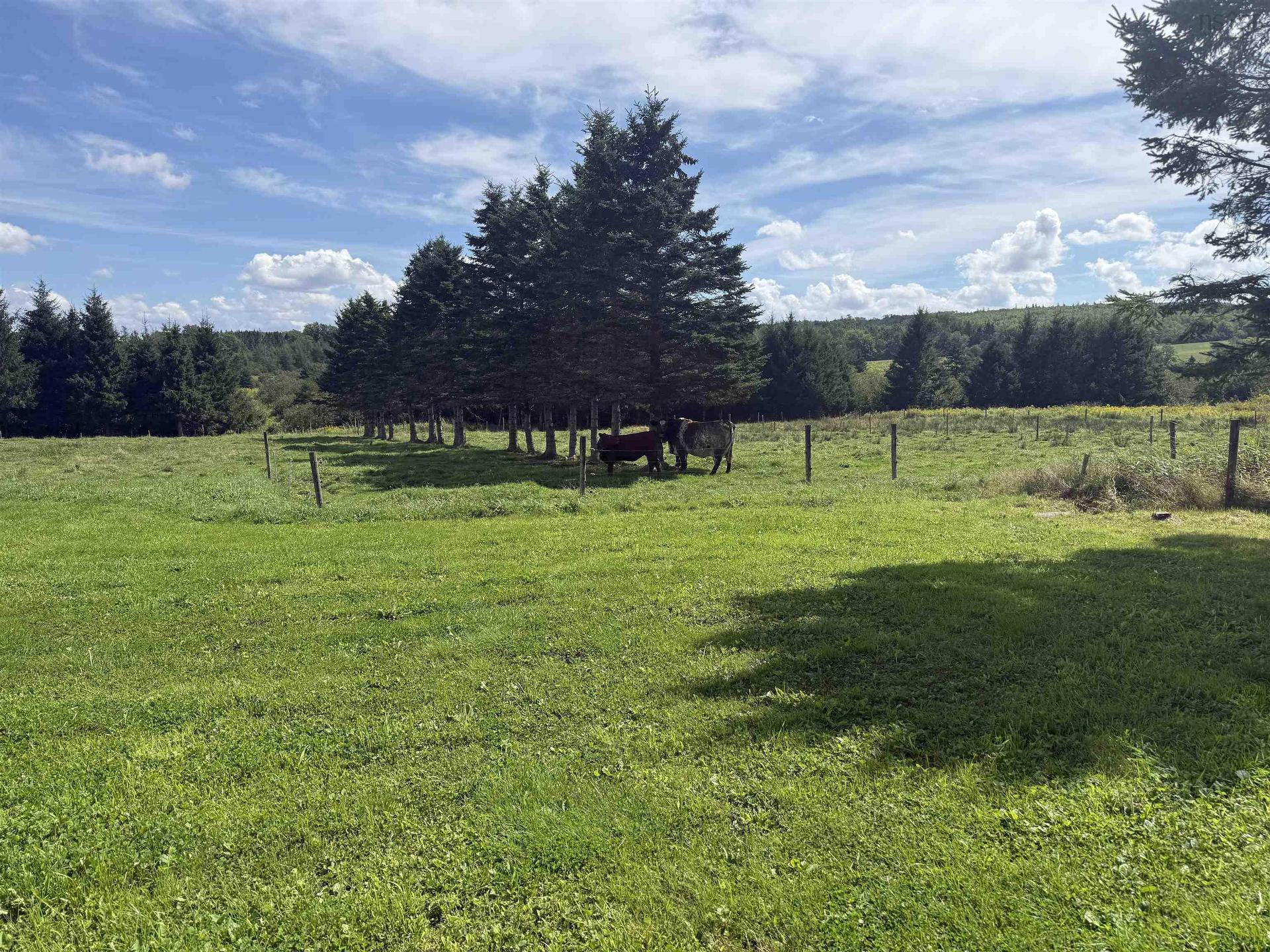 115 Canada Road, Brookvale, NS