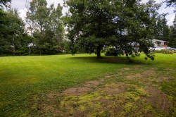 Courtyard - 