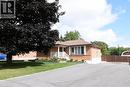 Brick exterior with a covered porch featuring white railings, mature front yard tree, paved driveway, and perimeter fencing - 98 Kennedy Avenue, Hamilton, ON 