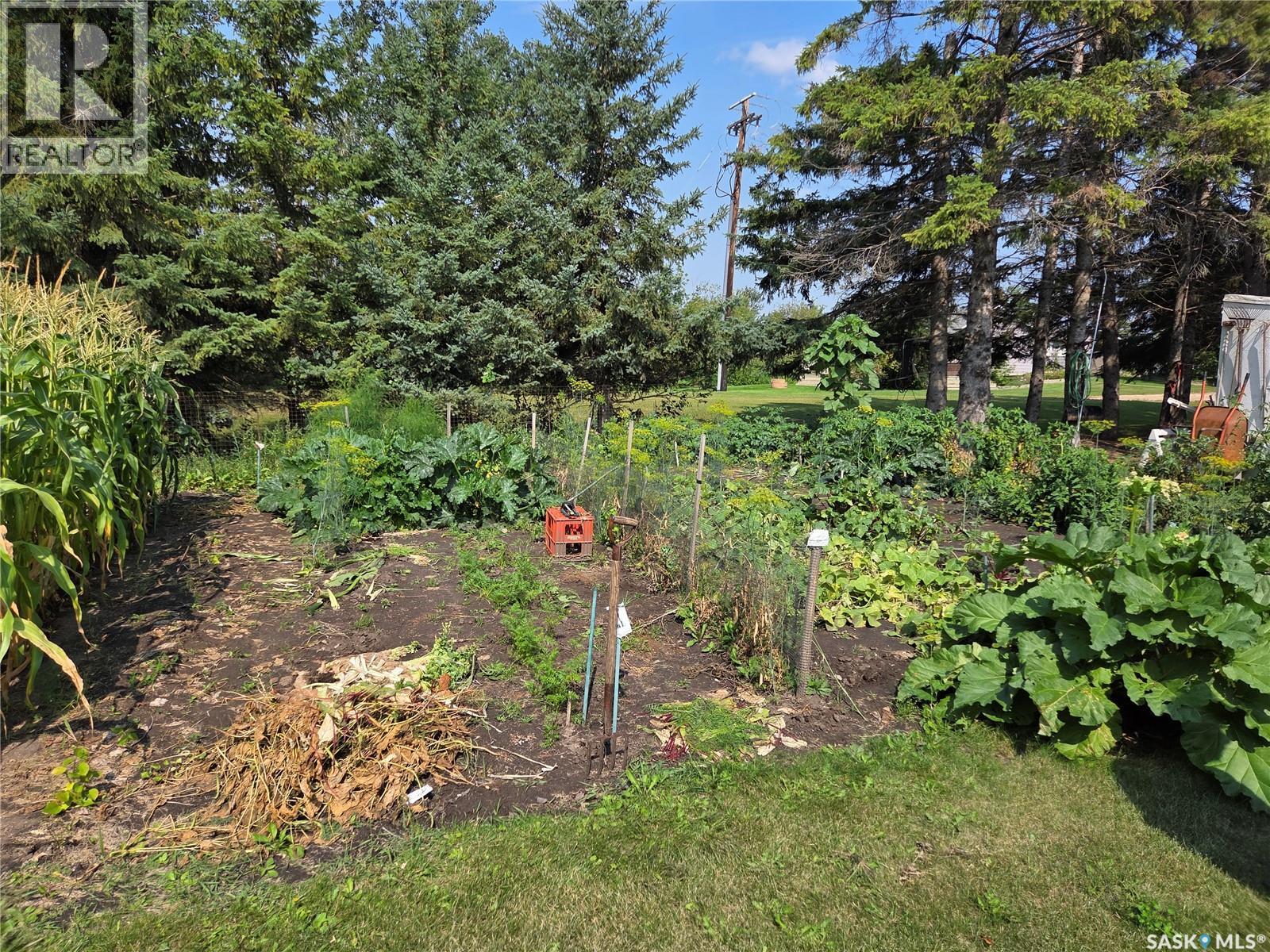 159 Birch Road, Carrot River, SK