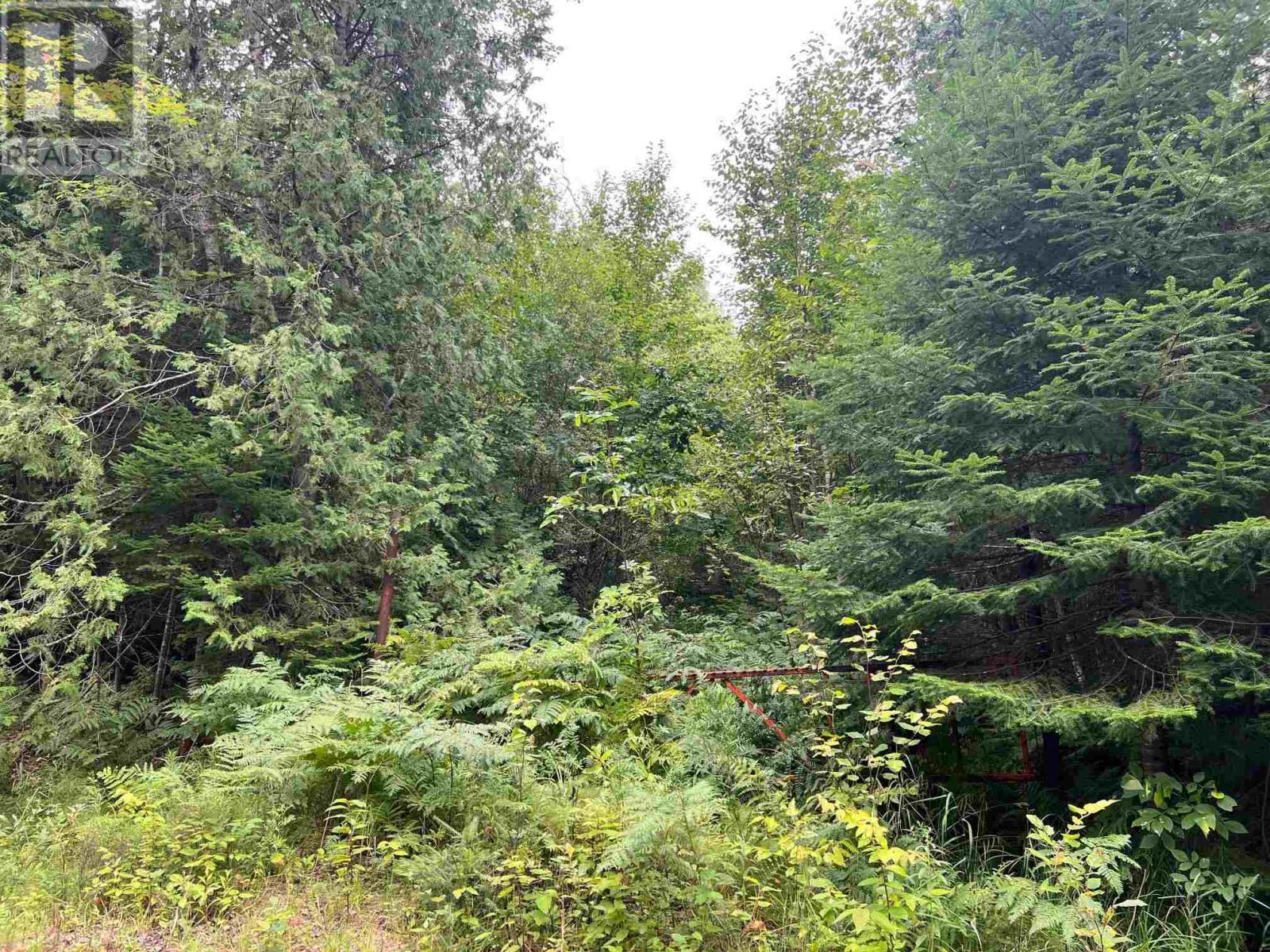 Pt Lot 5 Boat Launch Rd, Blind River, ON