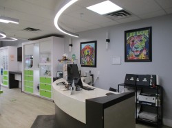 107, 50 st.thomas street St. Albert, AB T8N 5Z5