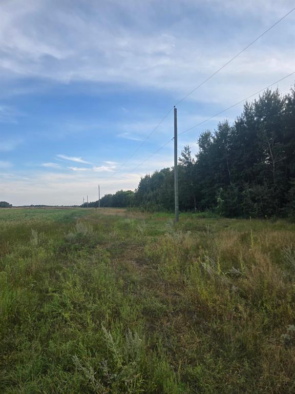 28036 1N Road, Tolstoi, MB