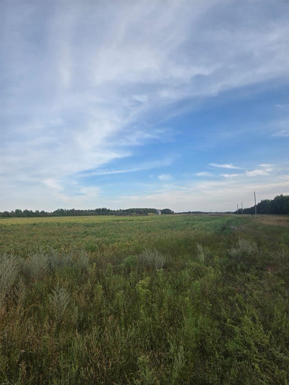 28036 1N Road, Tolstoi, MB