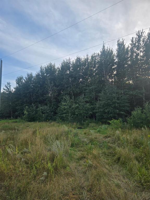28036 1N Road, Tolstoi, MB