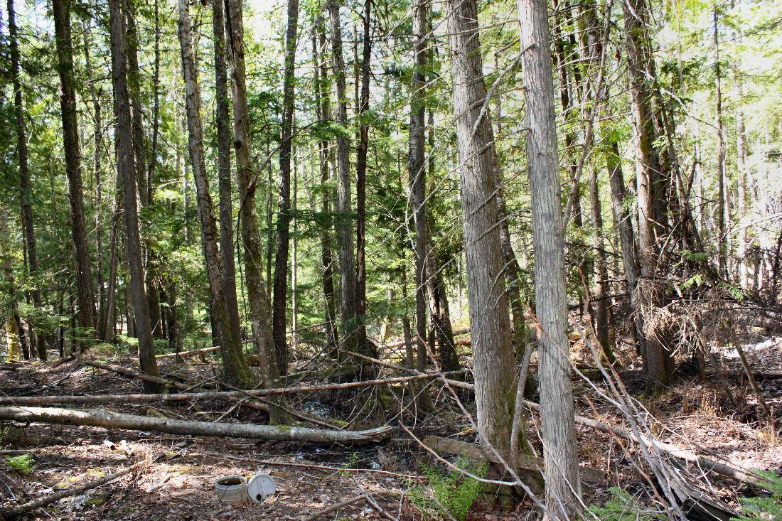 366 Caribou Creek Road, Burton, BC