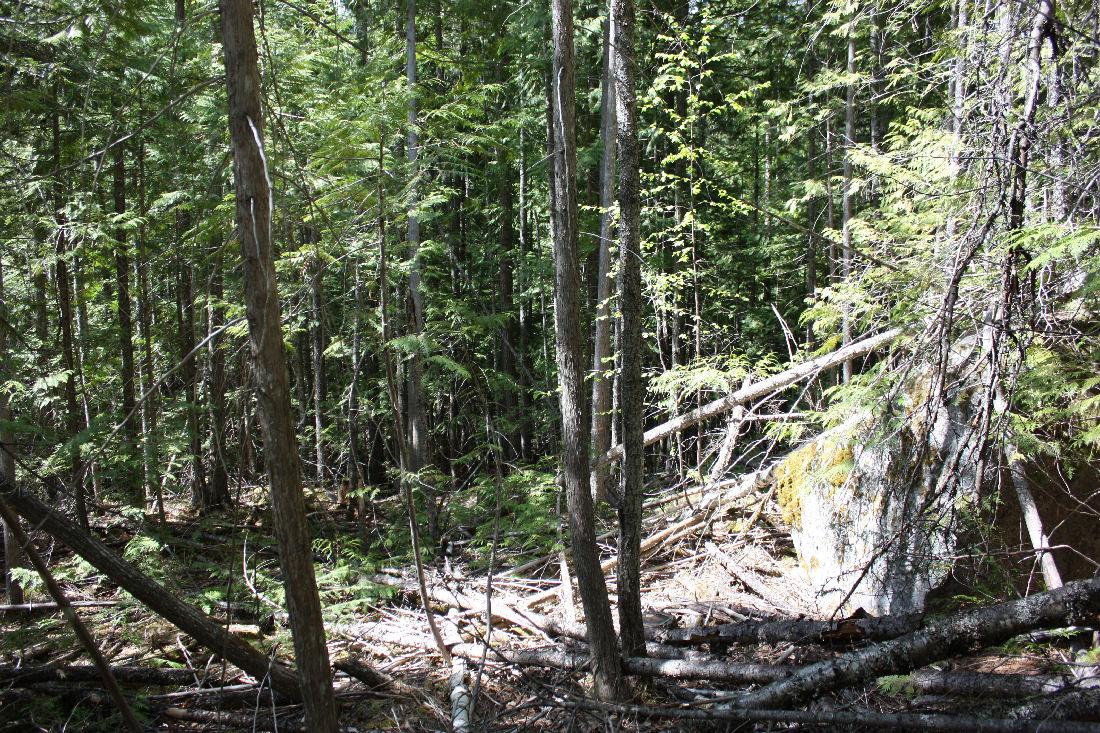 366 Caribou Creek Road, Burton, BC