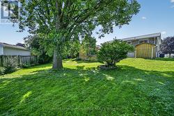 Beautiful back yard - 